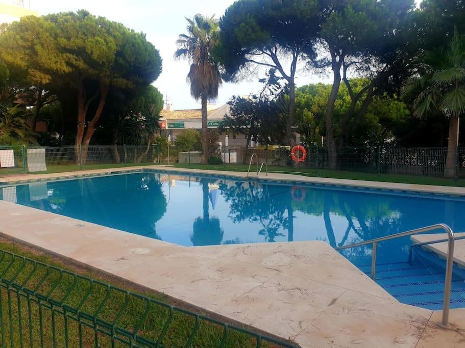 Precioso Estudio Con Piscina A 200M Del Mar มาร์เบยา ภายนอก รูปภาพ