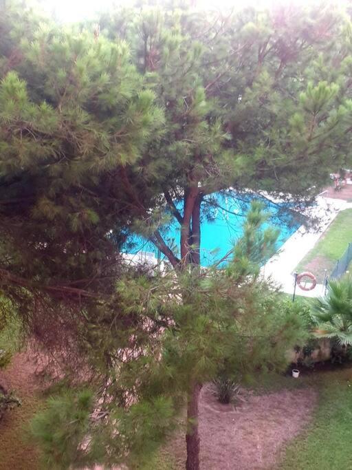 Precioso Estudio Con Piscina A 200M Del Mar มาร์เบยา ภายนอก รูปภาพ