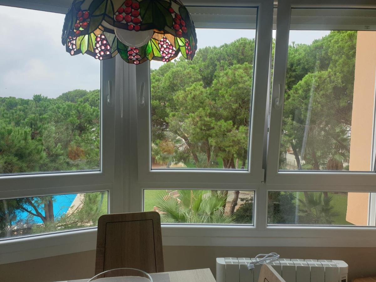Precioso Estudio Con Piscina A 200M Del Mar มาร์เบยา ภายนอก รูปภาพ
