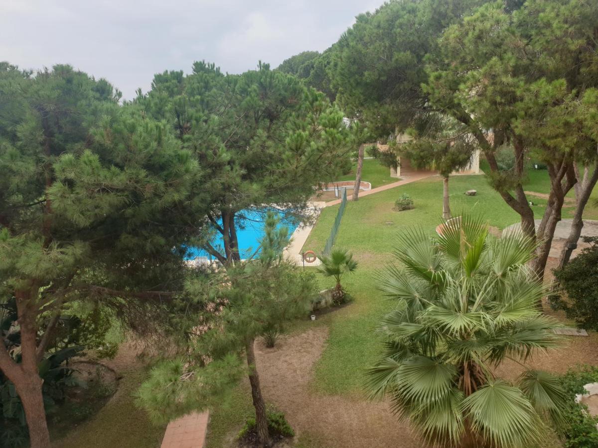 Precioso Estudio Con Piscina A 200M Del Mar มาร์เบยา ภายนอก รูปภาพ